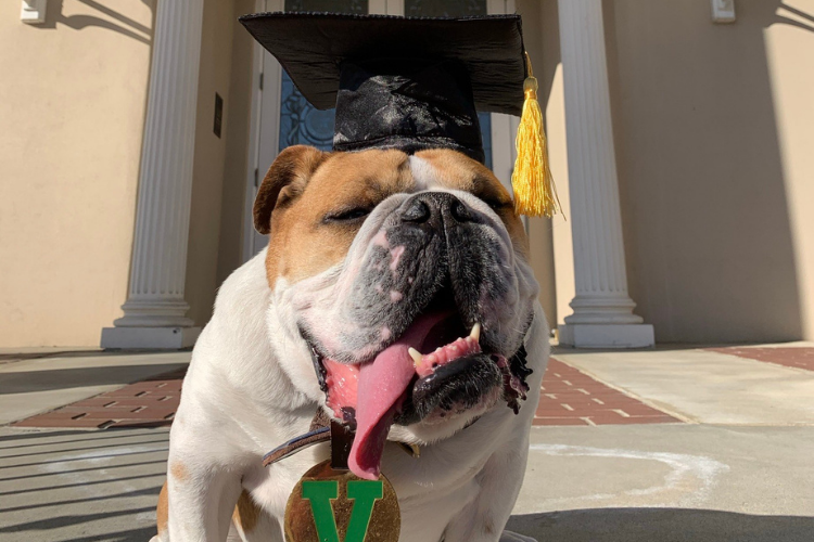 Victor E. Bulldog III wearing a graduation cap