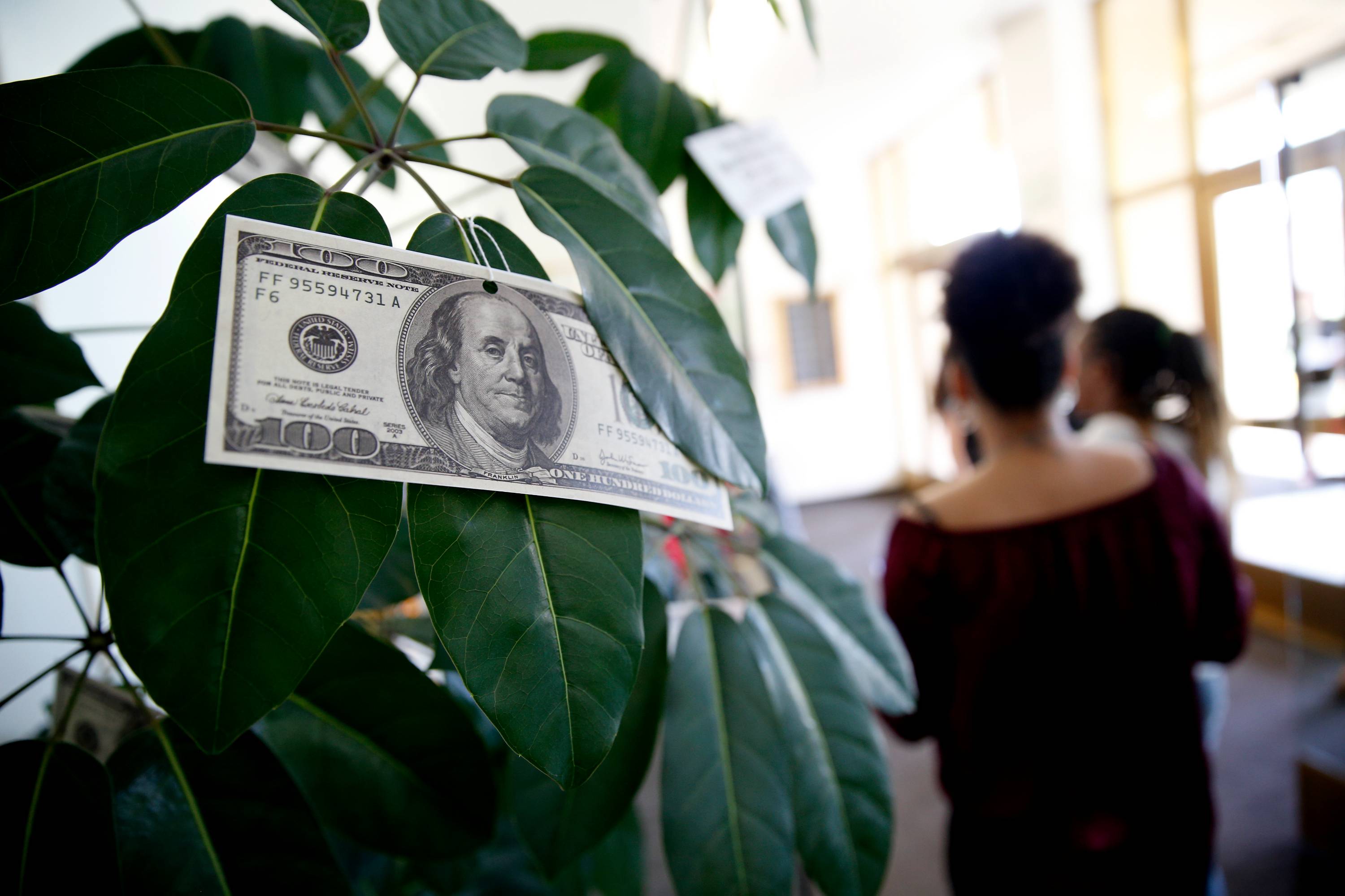 A dollar bill on a tree.
