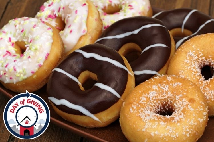 Close up of donuts on a tray