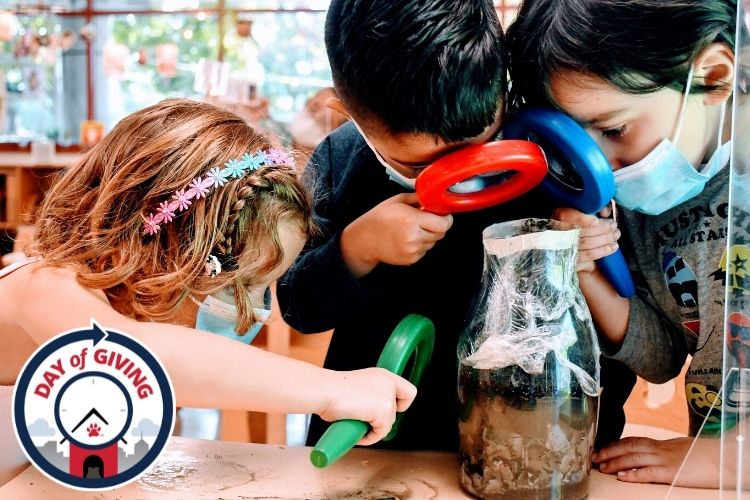 Three children with magnifying glass exploring bugs in a jar