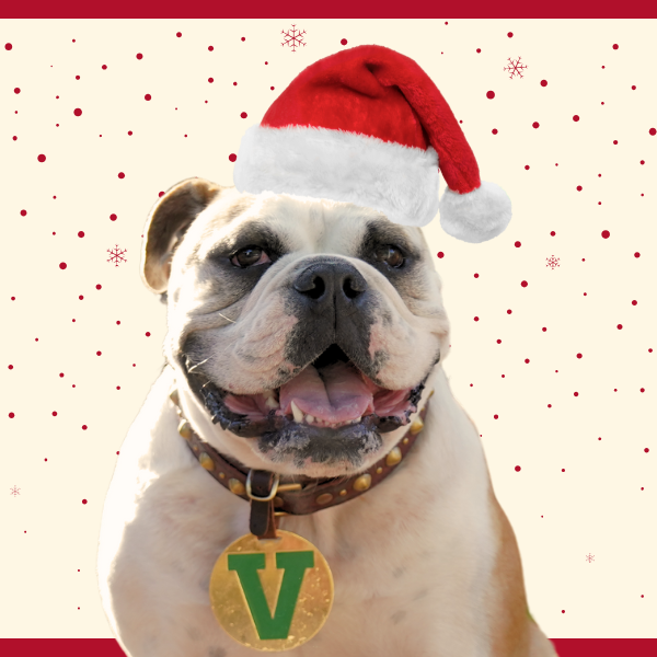 VEB with santa hat