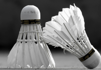 badminton shuttlecocks